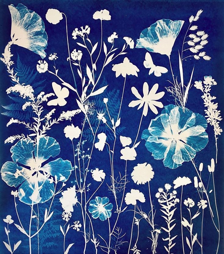 impression de cyanotype