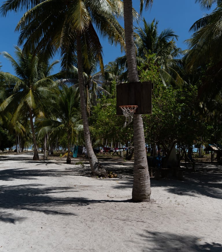 a basketball hoop is in the sand near a palm tree