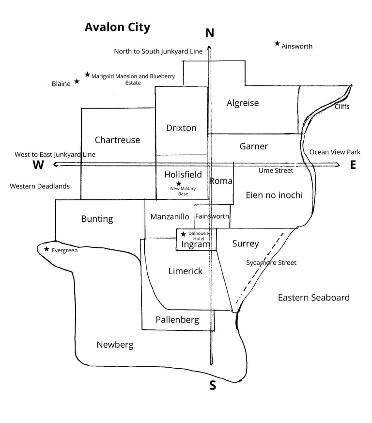 Map of Districts in Avalon