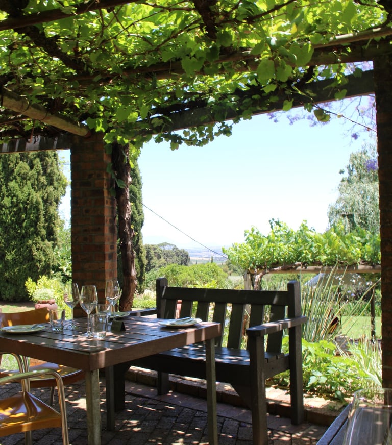 a table and chairs, set with 3, with a trellis of grape vines growing overhead and a valley behind
