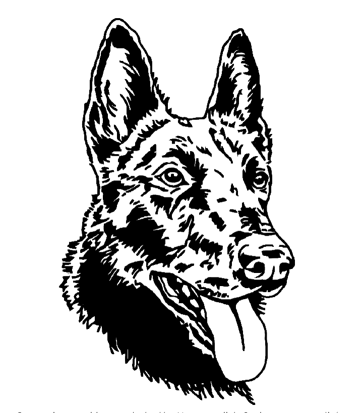 portrait digital stylisé noir et blanc d'un chien