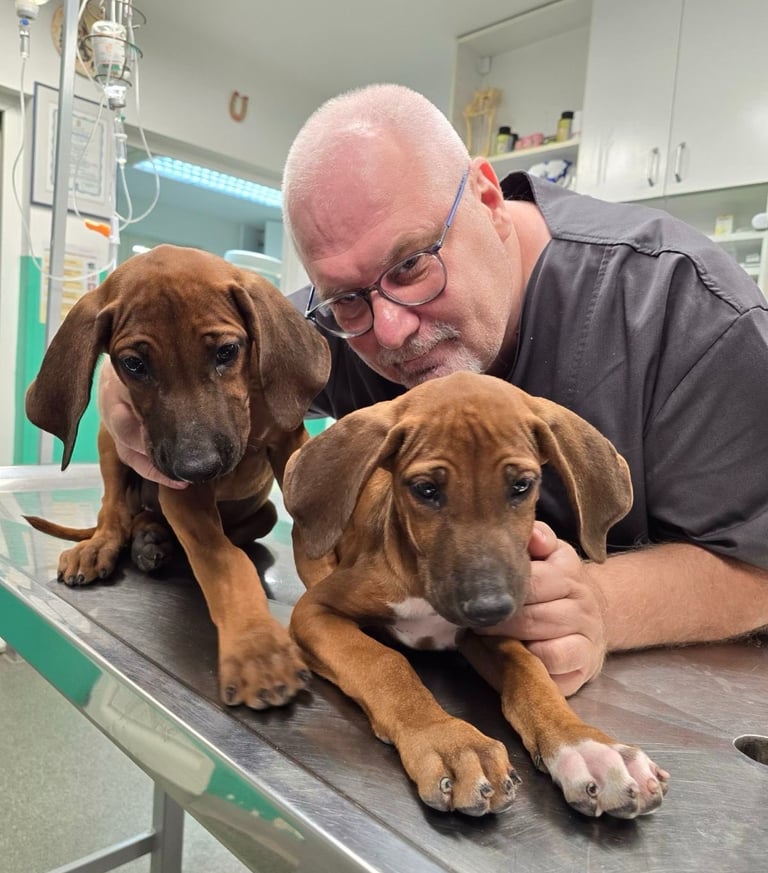 Dr Vladimir Ćirković