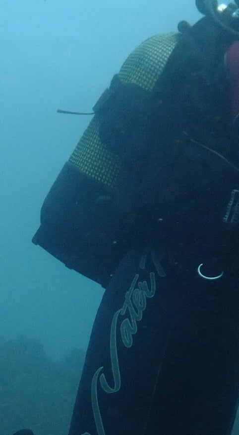 Tracey billington, diving, aliwal shoal, umkomaas, South Africa