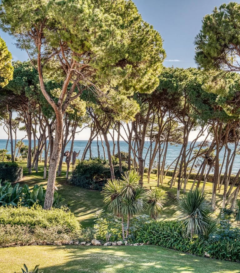Private beachfront estate with manicured gardens and pine grove