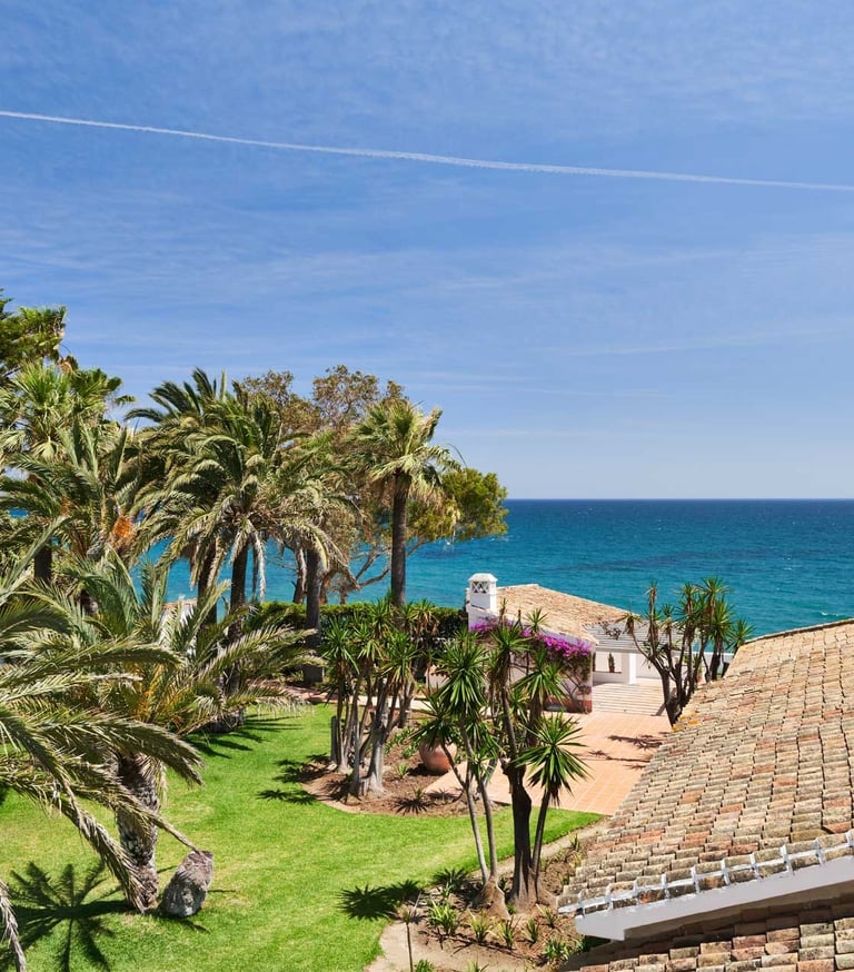 Palm gardens and tiled roofs by the sea