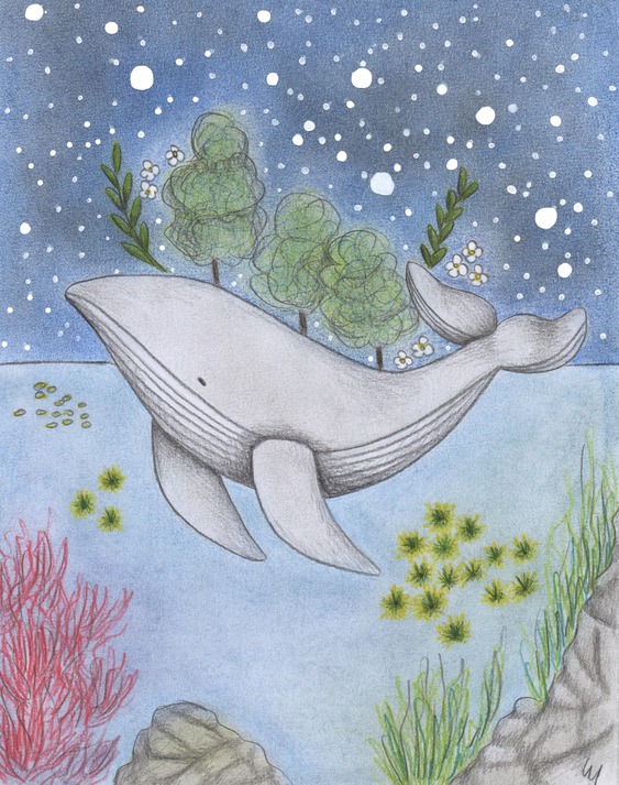 Hand-drawn illustration of a whale, covered with trees, swimming in the ocean under a starry sky