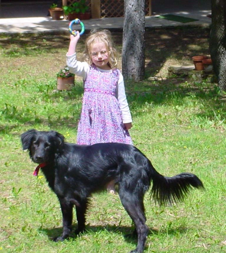 a young girl in a dress and a dog in a yard