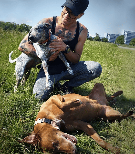 a man with tattoos playing with two happy dogs on the grass in a park