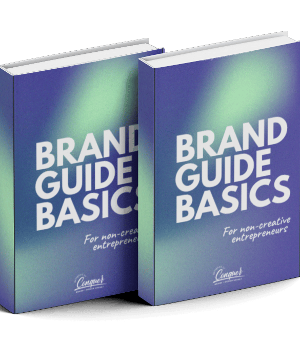 brand guide book