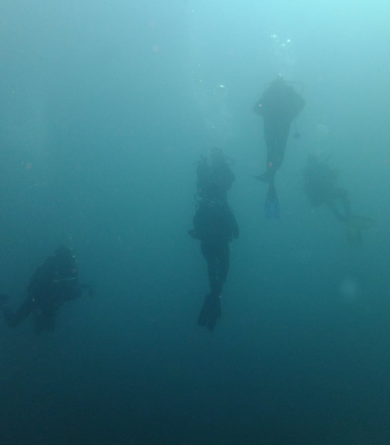 Divers, Aliwal Shoal, Umkomaas, South Africa