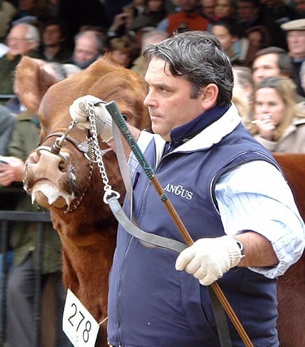 Martín Facundo Lizaso con Brujo en la pista de Palermo rumbo a la jura donde resultó Reservado GCM.
