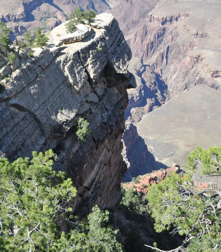 the grand canyon national park