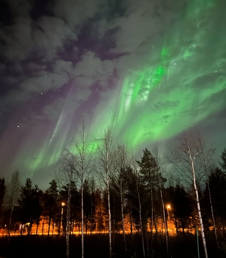 a green and white sky with a green sky with auroras and some trees