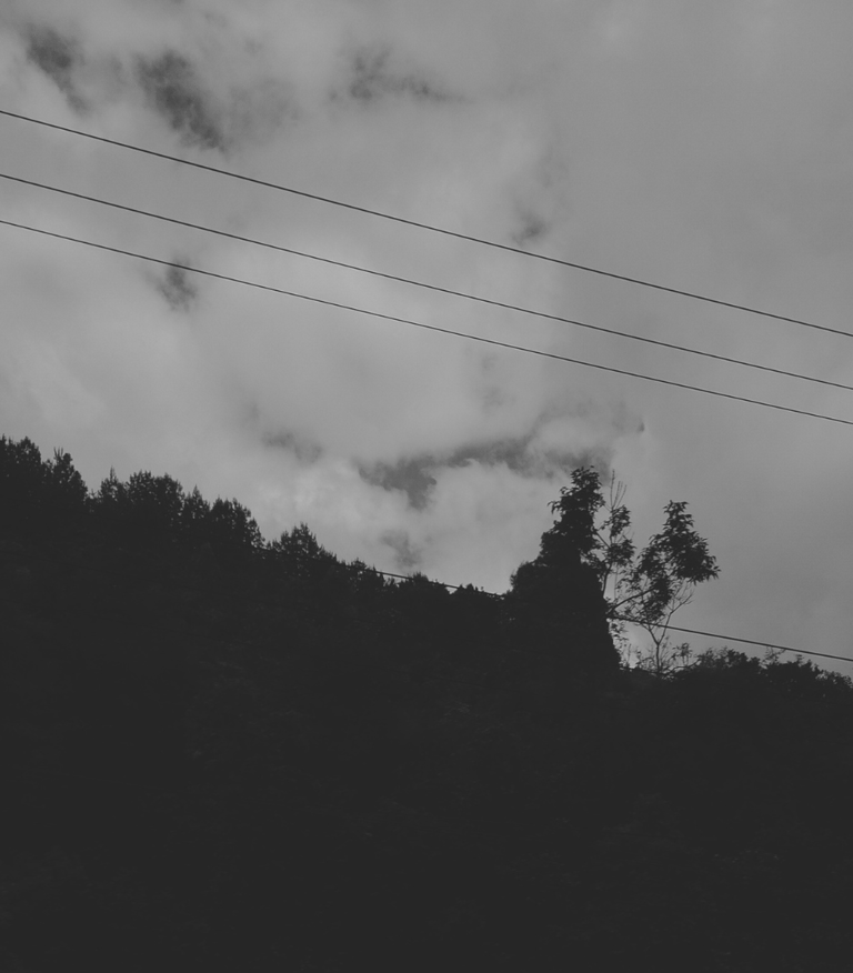 Bosque en silueta bajo un cielo nublado con cables de alta tensión.