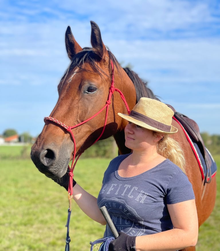 cheval et sa propriétaire le regard au loin