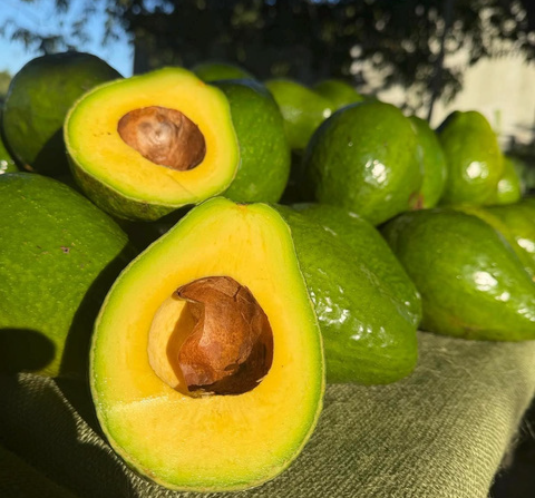 Fresh halved ripe avocados with seeds on a table, displaying vibrant green and yellow pulp.