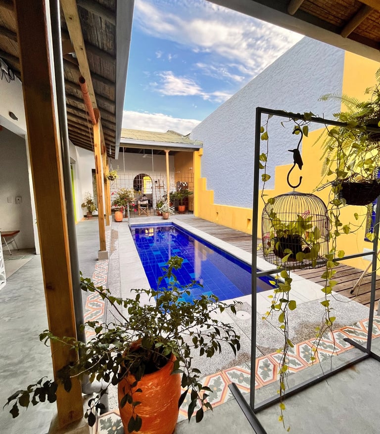 CasaBela pisicna cerca del jardin