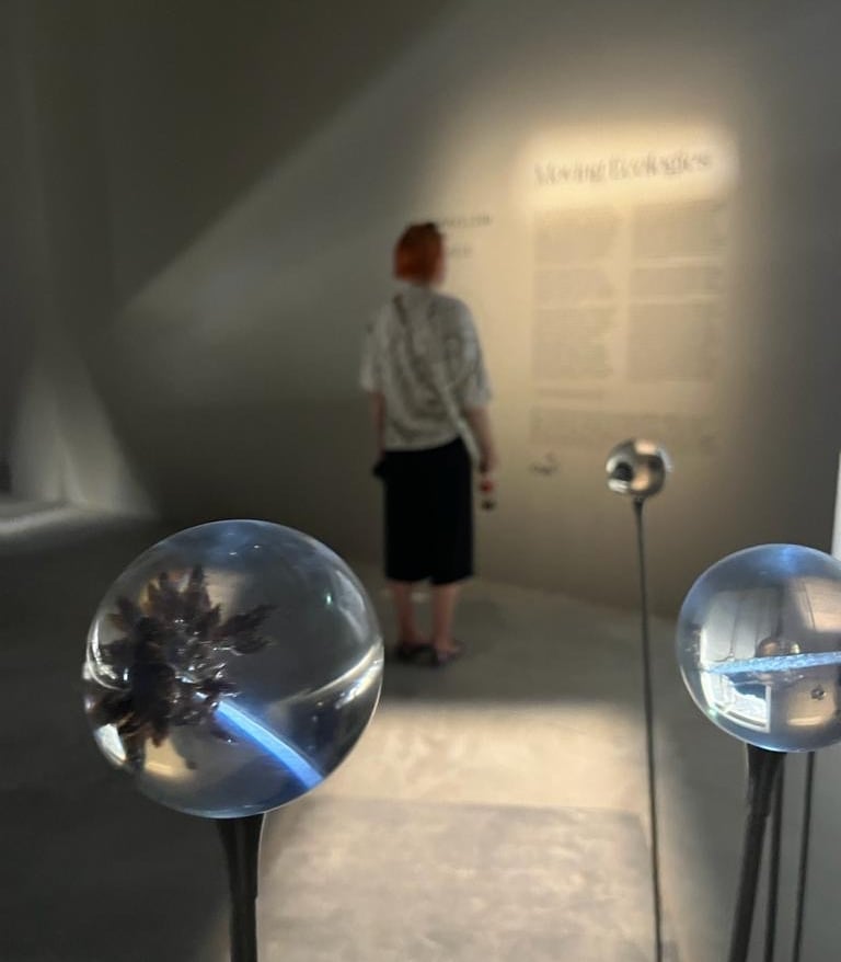 picture of the artist - Ewa Walkowska