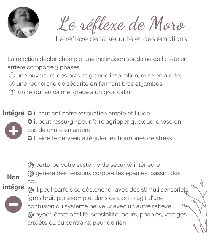 Fiche le réflexe de Moro en détail: les 3 phases, rôle régul hormones de stress, sécurité intérieure