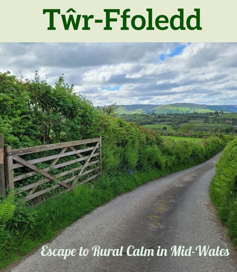 Holiday Let near Llanwrtyd Wells. Quirky and unusual.