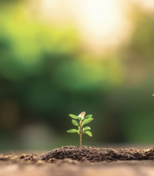 hypnose hypnothérapeute bien-être Paris Saint Mandé Vincennes Montreuil michel Bizot Dausmenil soin