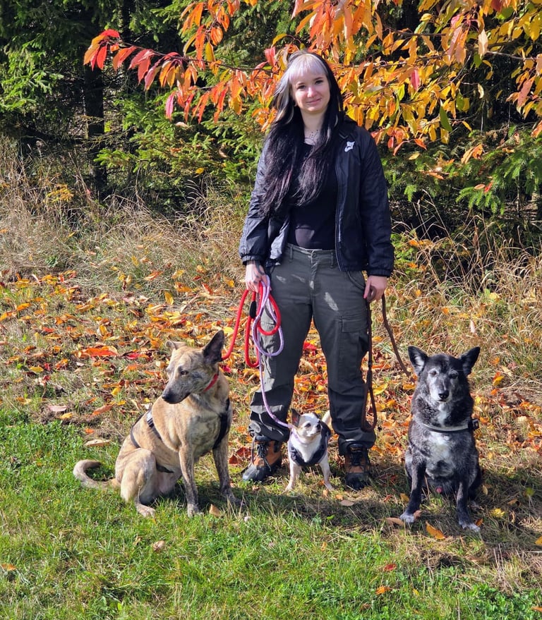 Mel mit 3 Hunden im Wald
