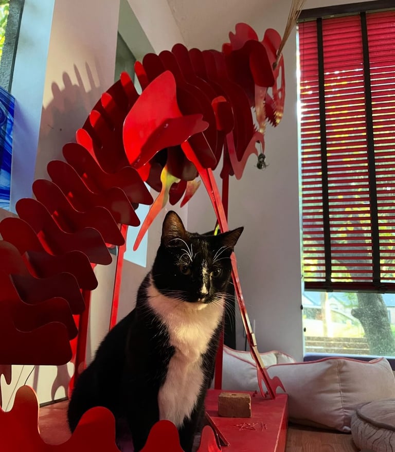 steel metal red dragon with a black and white cat in the middle