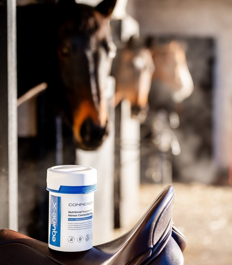 Horses in stables looking at a tub of connexion, a horse supplement for connective tissues