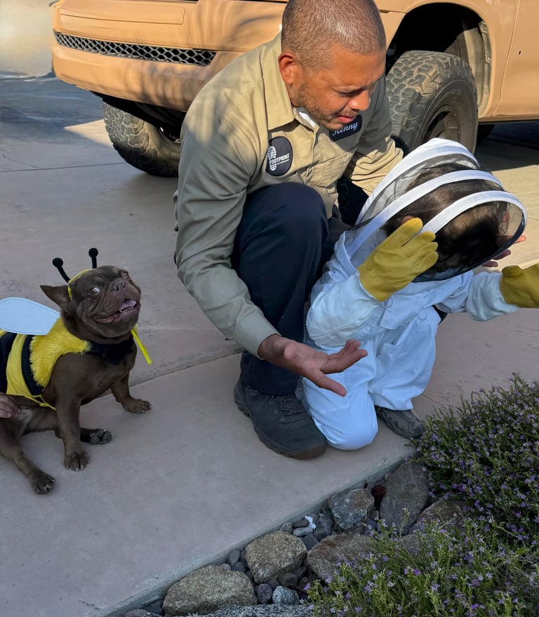 Eco-friendly pest control services safe for families, pets and residential properties.