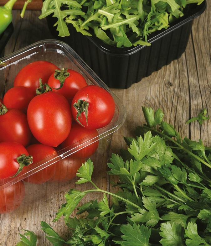 fruits and vegetales