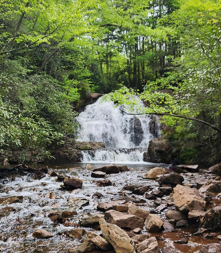 Hawk Falls