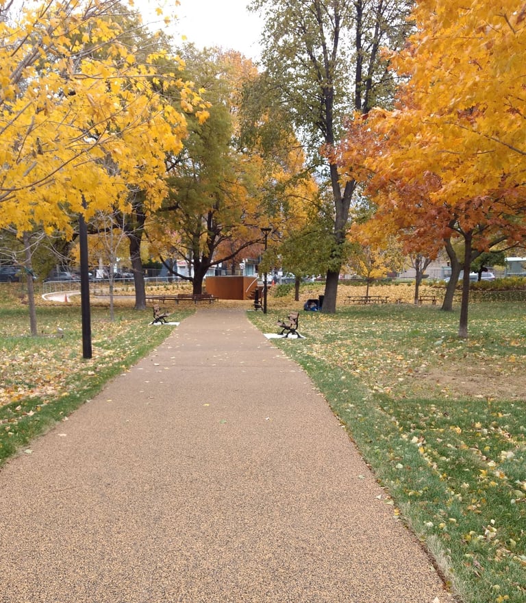 Rubber Pathway Trail Surfacing