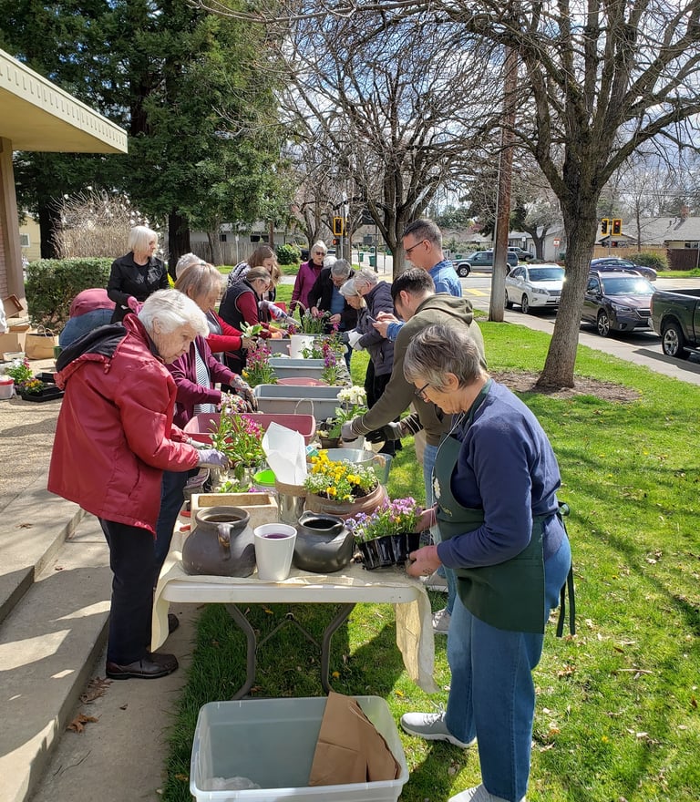 Chico Horticultural Society members potting up plants to sell.