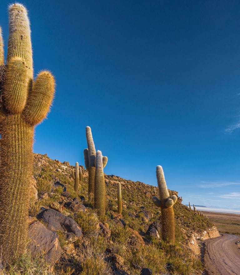 Atacama Desert & Uyuni Salt Flats Photography Tour 11 Days