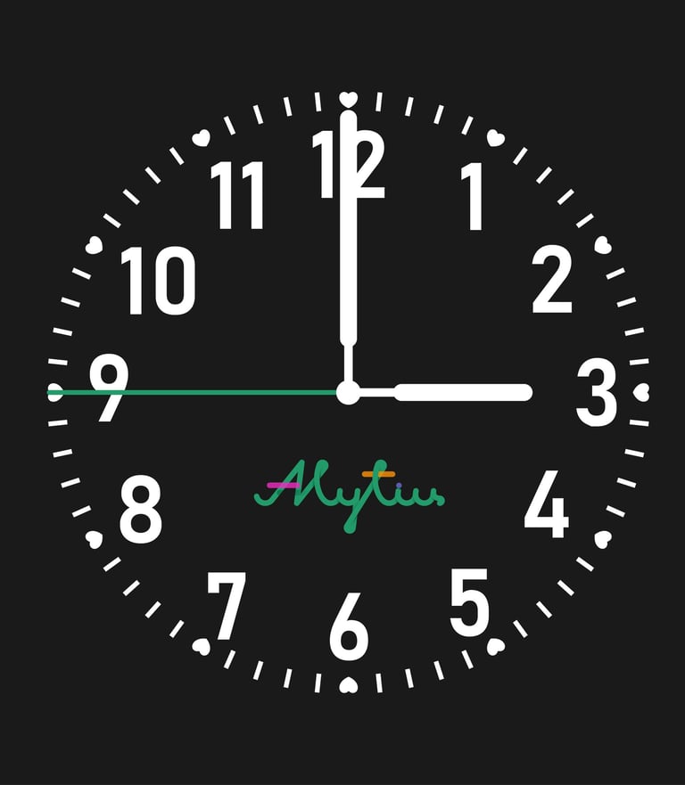 Alytaus miesto vizualinis identitetas