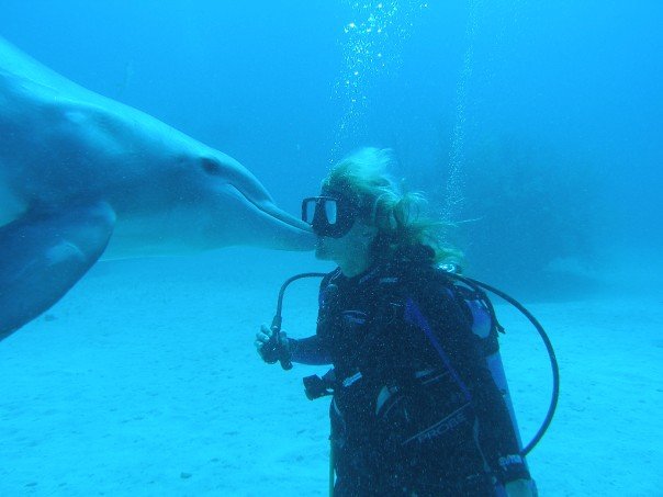 Bahamas Fixer Sarah Hamilton with a dolphin giving her a kiss while diving