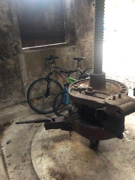 Le fameux ancien pressoir qui a donné son nom au gîte