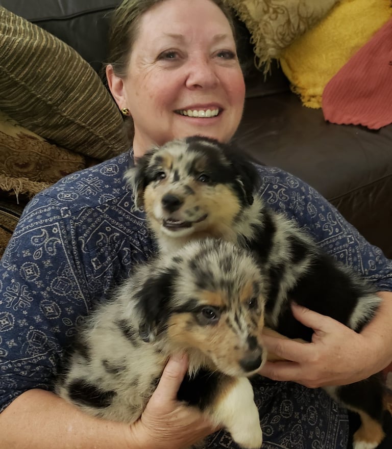 holding laudrick aussie puppy