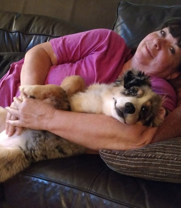 relaxing with laudrick aussie dog