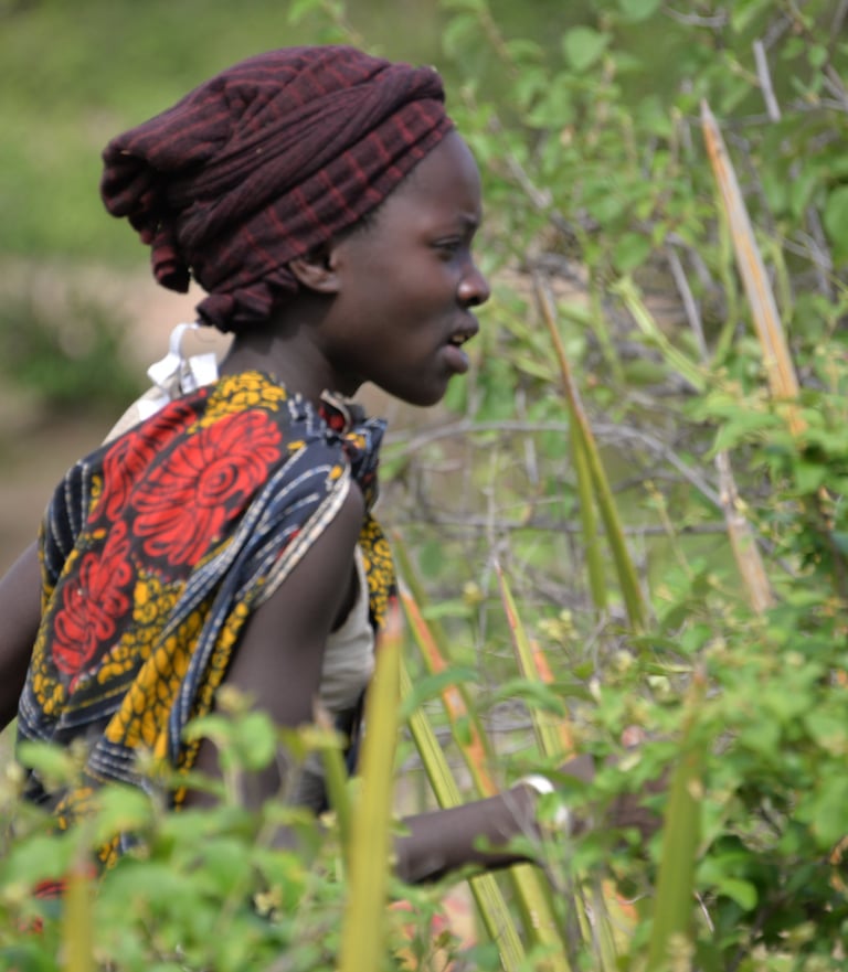 TagesausflügeTansania