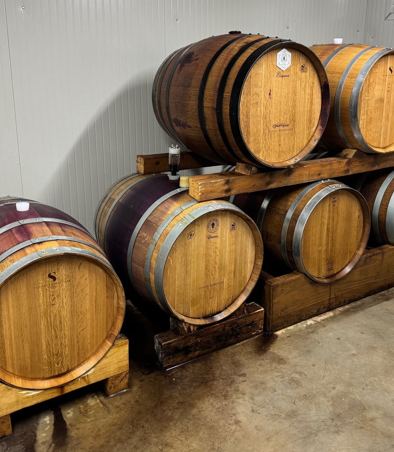 Holzfässer im Keller