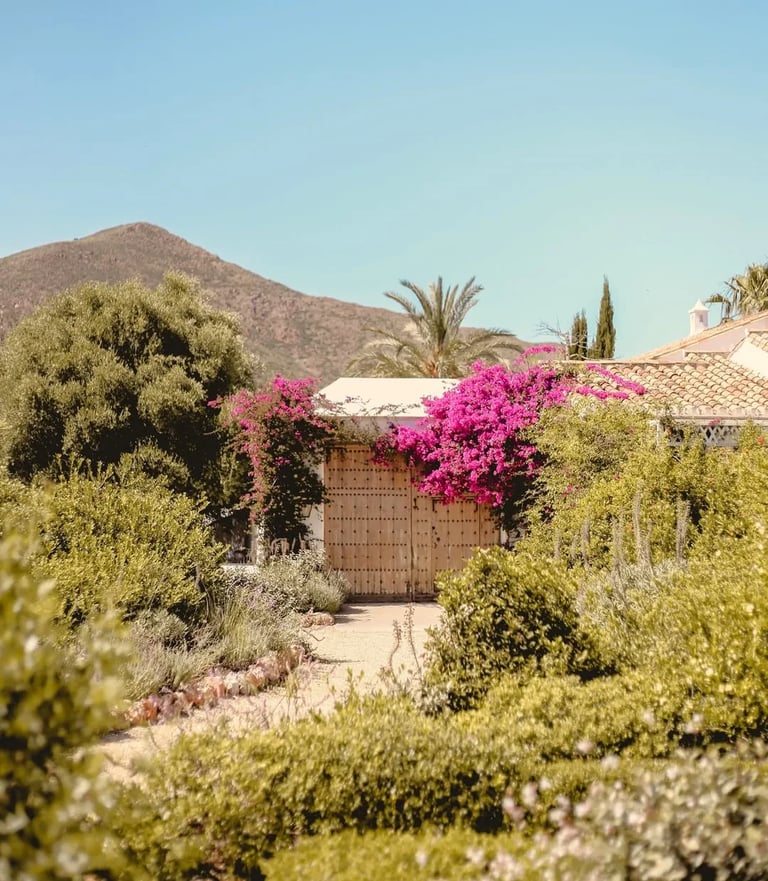 Garden entrance with wooden gates, bougainvillea and mountain backdrop