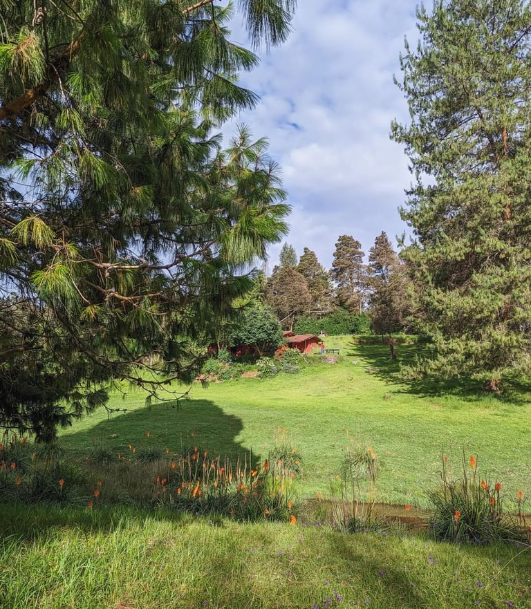 Ampthill downs stay