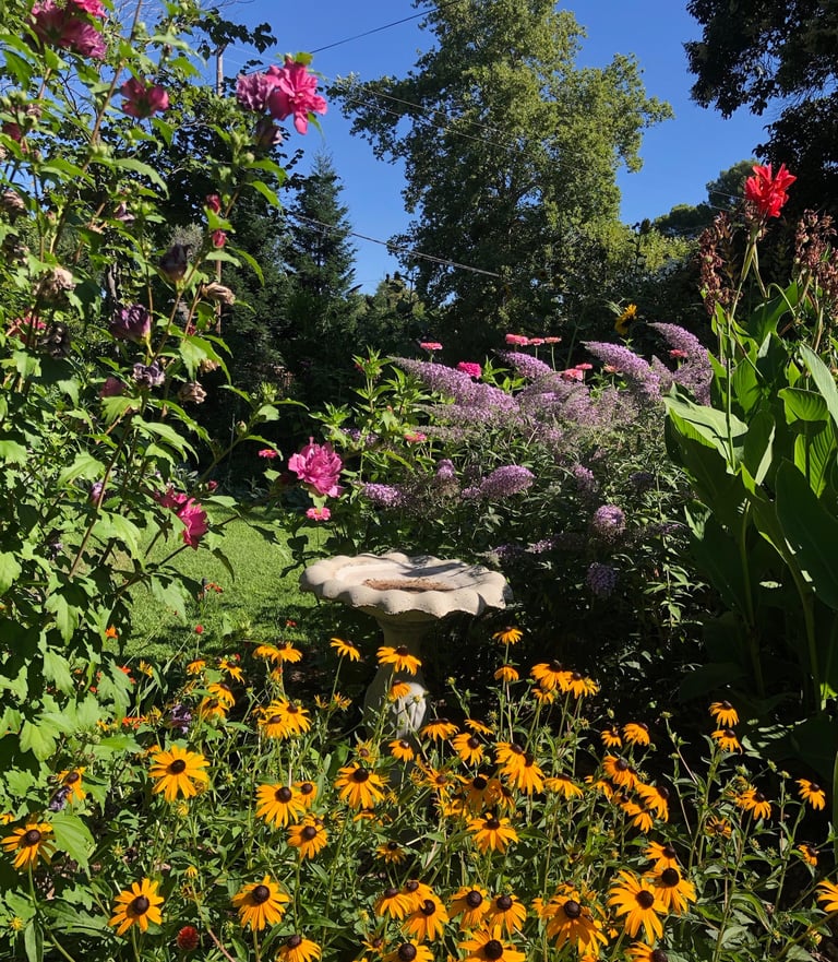 A Chico Horticultural Society member's flower-filled garden.