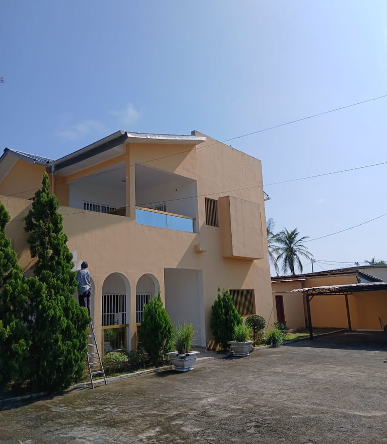 a man is painting a house with a ladder