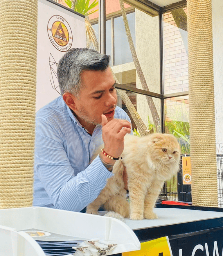 Juez felino LCWW sostiene un gato sobre una mesa