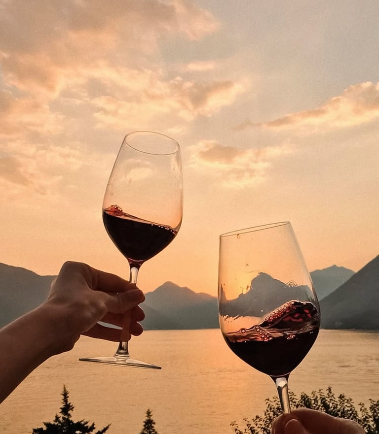 gestion cave à vin expert