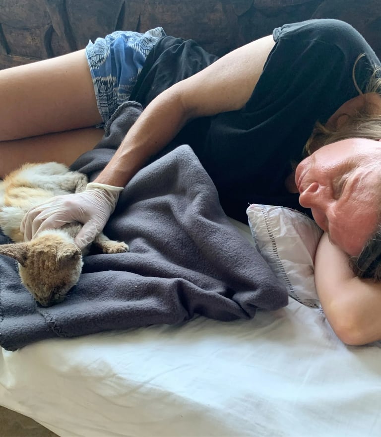 Fran sleeping on a couch with a sick cat