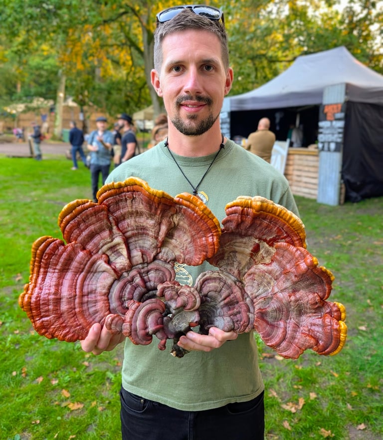 a man holding a large Reishi Mushroom - ganoderma lucidum, or Lingzhi