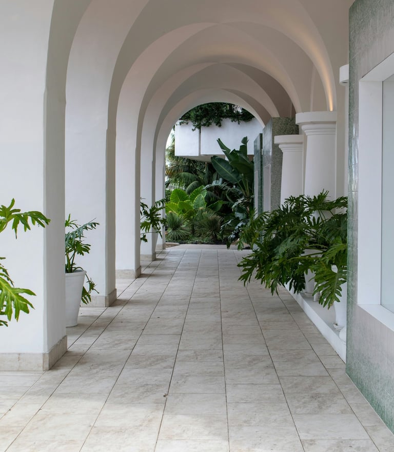 White arched corridor with plants and minimalist Mediterranean architecture.